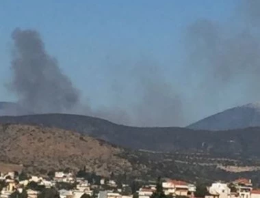 Εύβοια: Φωτιά σε δασική έκταση - Μεγάλη επιχείρηση της πυροσβεστικής (φωτό)